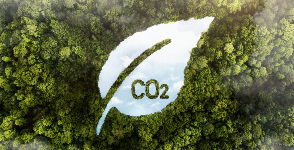 Assessing Suppliers in the Context of CBAM