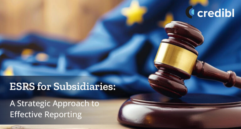 ESRS for Subsidiaries - A Strategic Approach to Effective Reporting