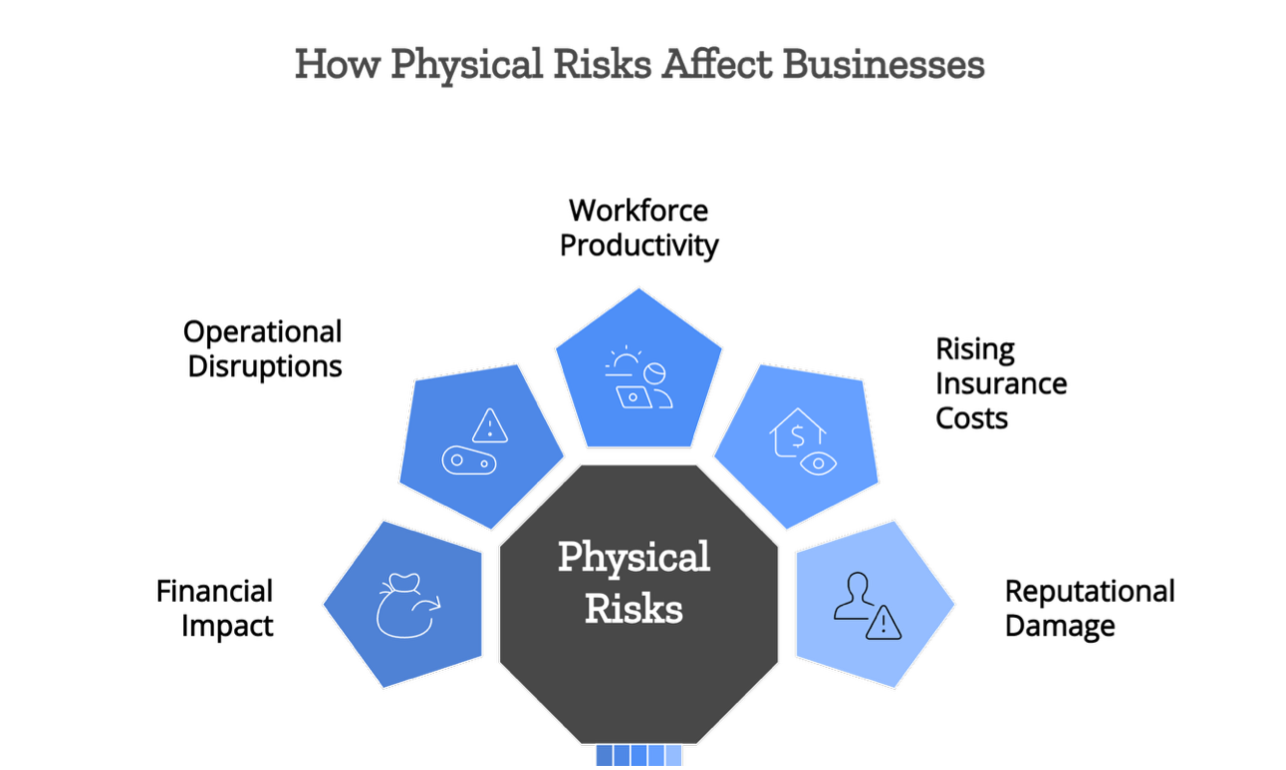 How physical risks affect businesses