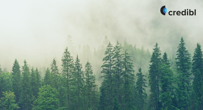 Understanding Physical Climate Risks: Why They Matter for Businesses?